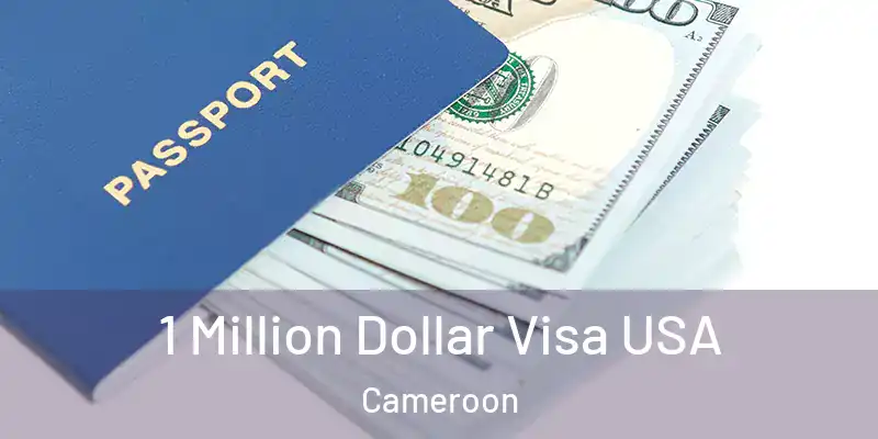  1 Million Dollar Visa USA Cameroon